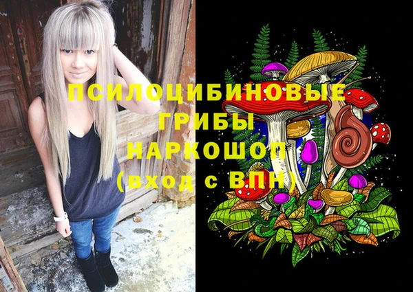 mix Алексин
