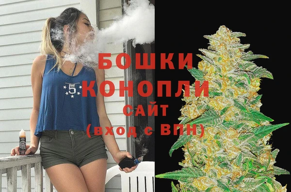 сатива Алзамай