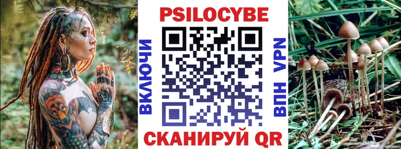 Псилоцибиновые грибы мицелий  KRAKEN   Дмитровск 